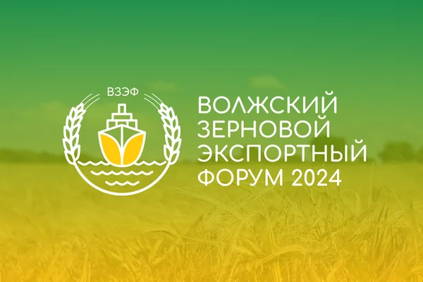 ВЗЭФ 2026